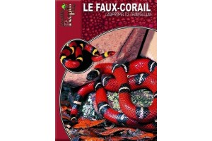 Le Faux-corail - Lampropeltis triangulum Guide Reptilmag